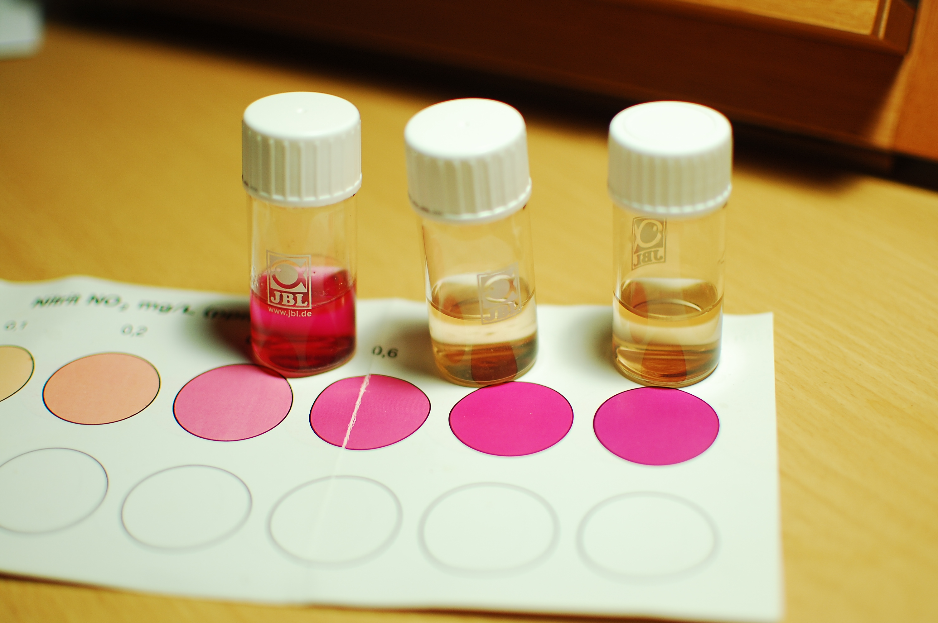 Nitrite Test